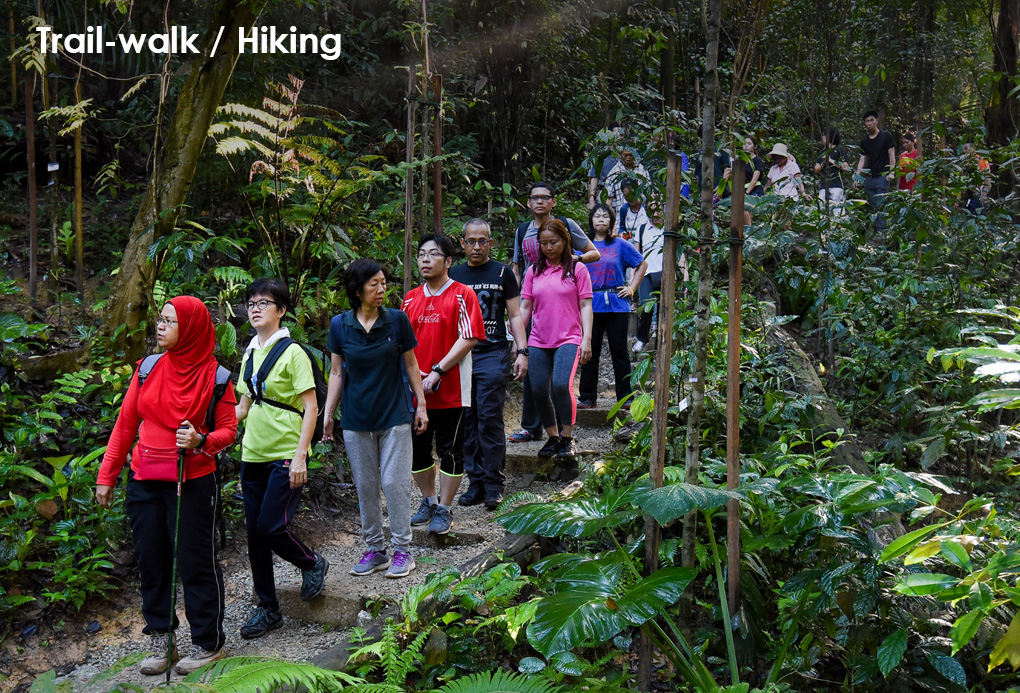 Jejak berjalan / mendaki